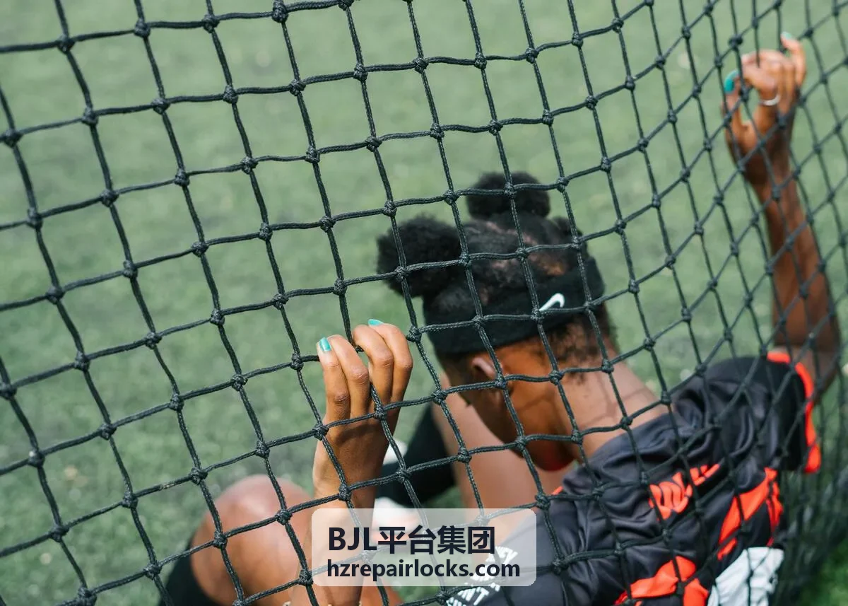 BJL安防系统集成