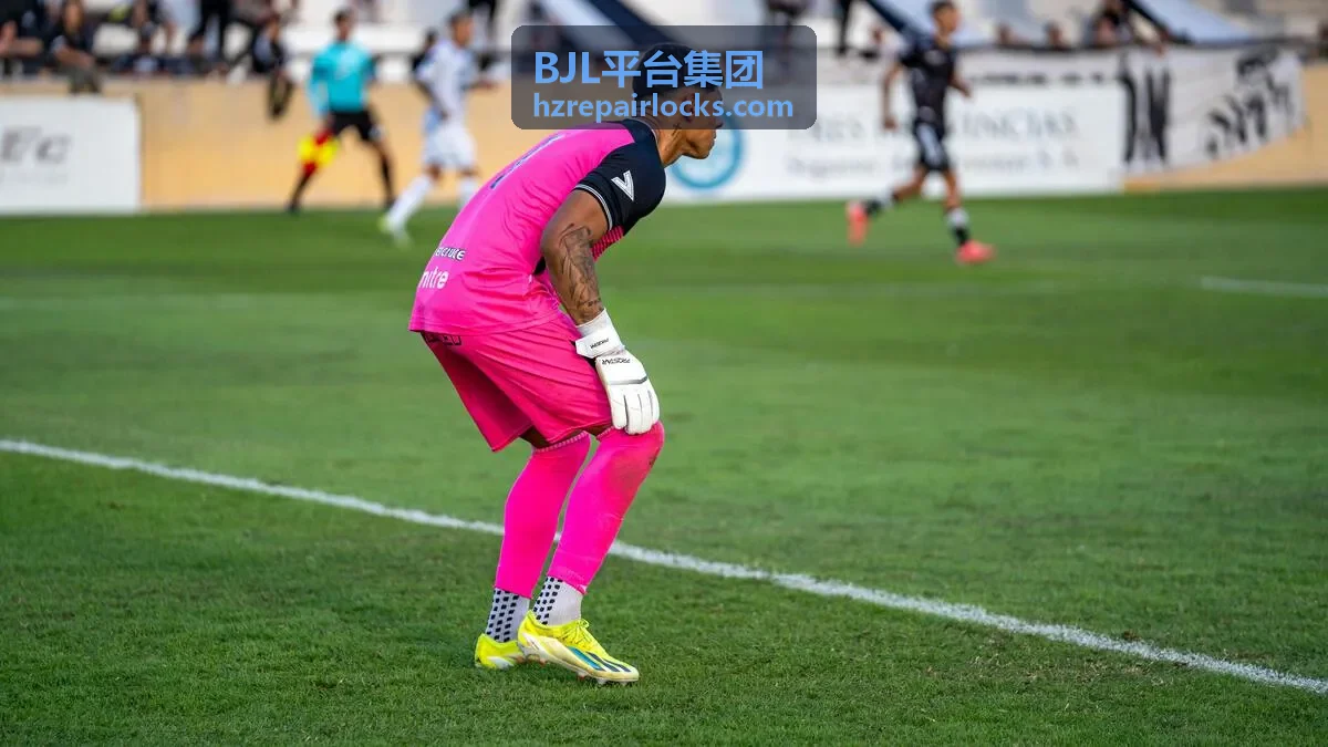 BJL平台运维服务